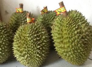 “Cơn sốt” trái cây ASEAN tại Trung Quốc