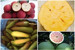Những loại trái cây không hạt ‘giá chát’ vẫn hút khách