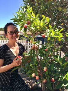 Cô vợ đảm đang khoe vườn cây thuần Việt trĩu quả, tự hào từng đạt giải nhất cuộc thi ‘My garden’ tại Mỹ