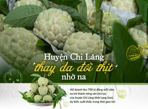 HUYỆN CHI LĂNG THAY DA ĐỔI THỊT NHỜ NA