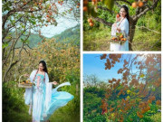 Vựa hồng lớn nhất Nghệ An vào mùa đẹp như cổ tích, dịch vụ chụp ảnh “đắt show”