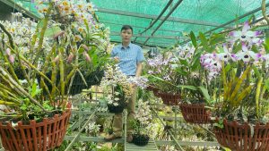 Trồng lan rừng đẹp như phim, phát lộ ra vô số hoa lan đột biến, thầy giáo Lai Châu khiến dân mạng sốt sình sịch