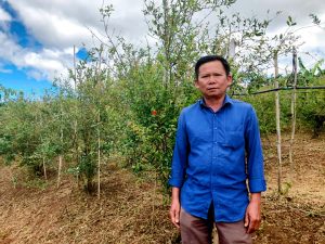 Một ông nông dân Lâm Đồng thu hàng tỷ nhờ mô hình trồng cây lựu đỏ Ấn Độ