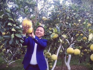 Ngồi nhà đợi khách đến chụp ảnh check in vườn bưởi, anh nông dân Bắc Giang thu tiền đều tay