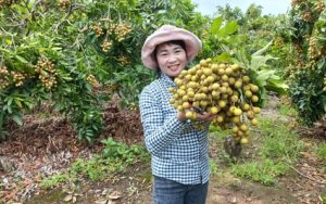 Trồng nhãn ra trái xum xuê, nuôi heo rừng, thu tiền tỷ, một người Gia Lai là Nông dân Việt Nam xuất sắc