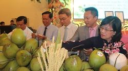 Loại trái cây Việt Nam đang chiếm top 7 thế giới về sản xuất có thể được bán sang Mỹ “ngay lập tức”