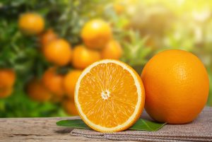Top 5 giống cam nên trồng tại Việt Nam