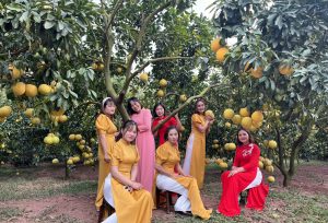 Bắc Giang: Ngắm vườn cam, bưởi hữu cơ doanh thu gần 7 tỷ đồng